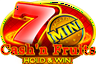 cashn-fruits-hold-and-win